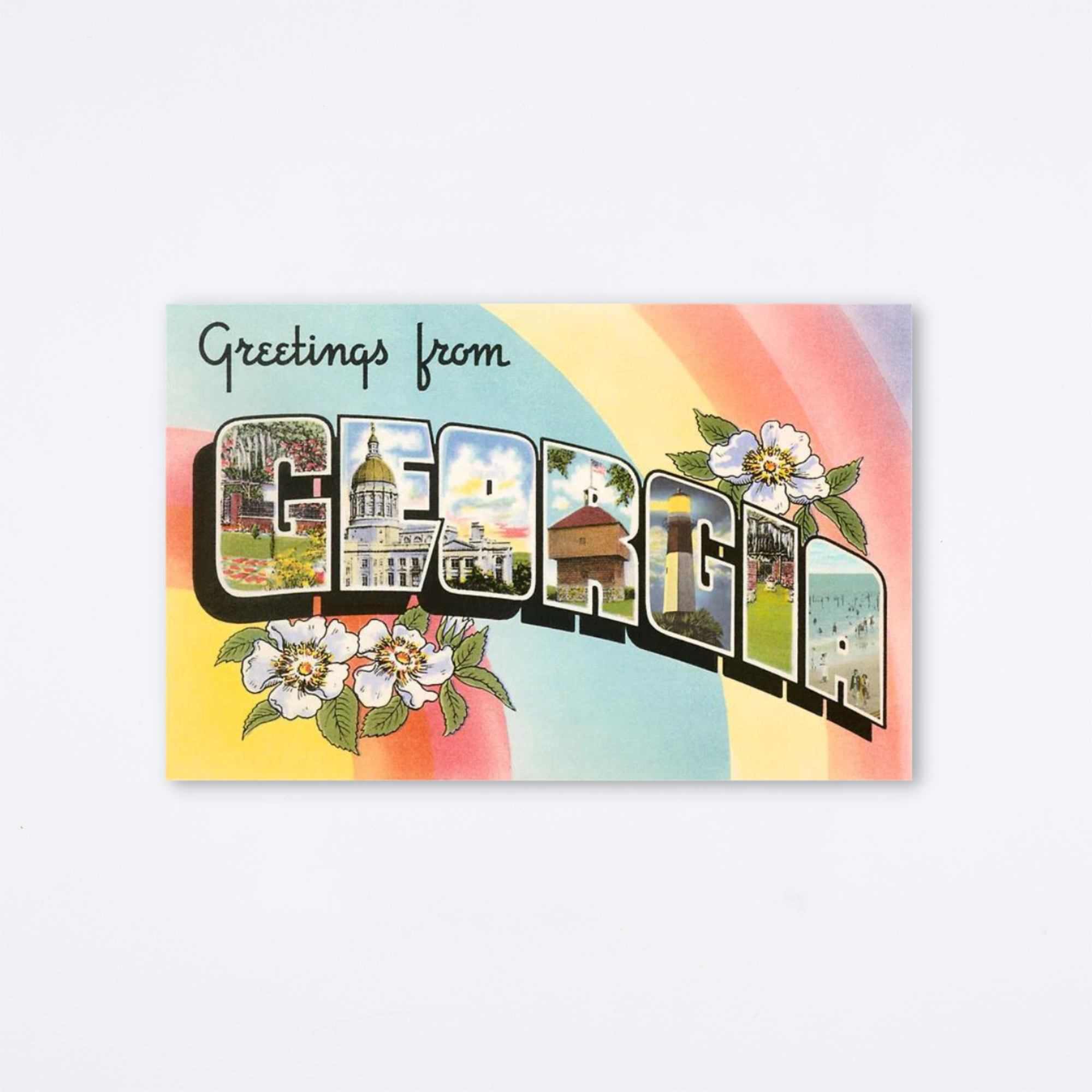 Greetings From Georgia White Blossom Postcard