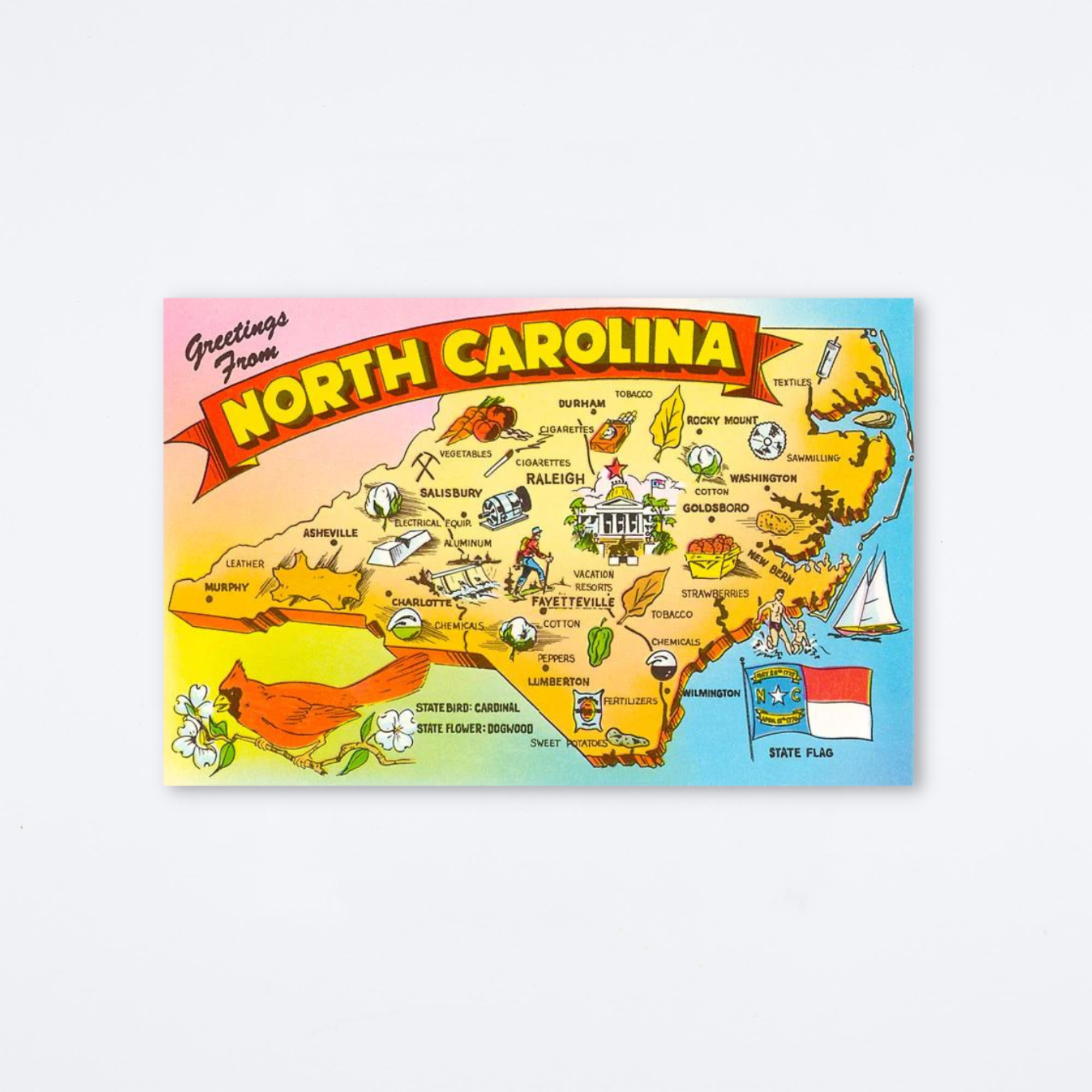 North Carolina Map Postcard