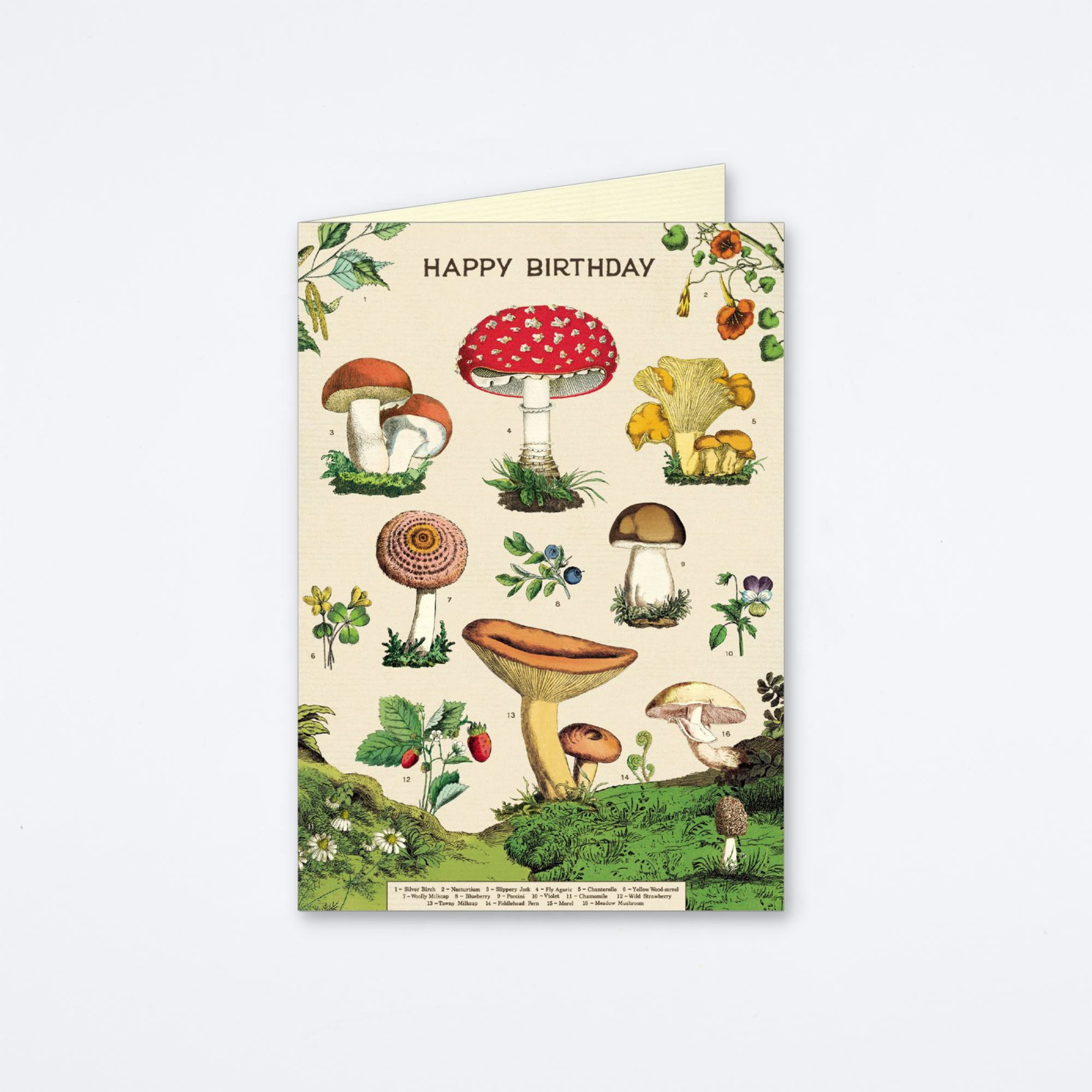 Happy Birthday Mushroom Card