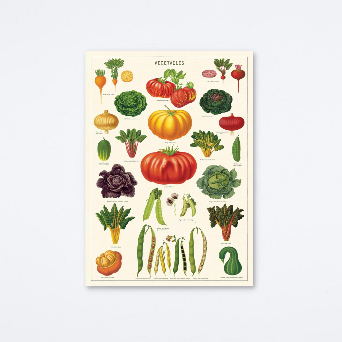 Vegetable Garden Wrap — Archer Paper Goods