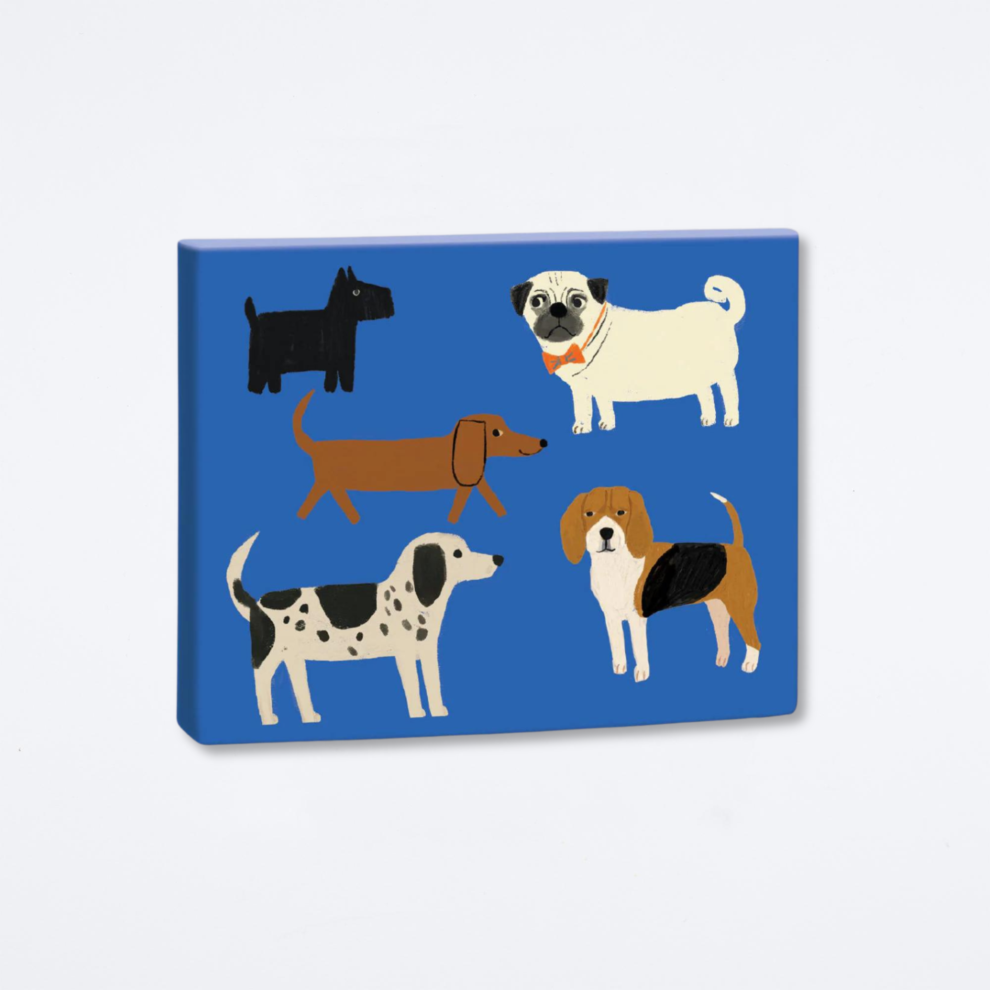Shaggy Dogs Boxed Notecards