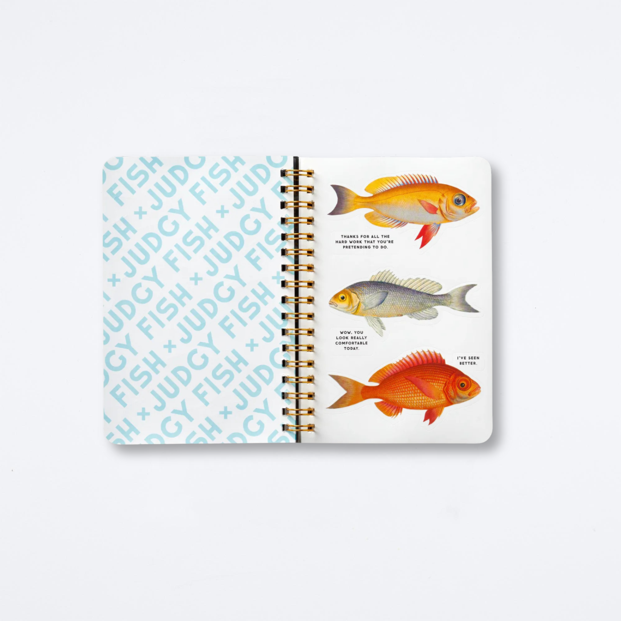 Judgy Fish Sticker Book