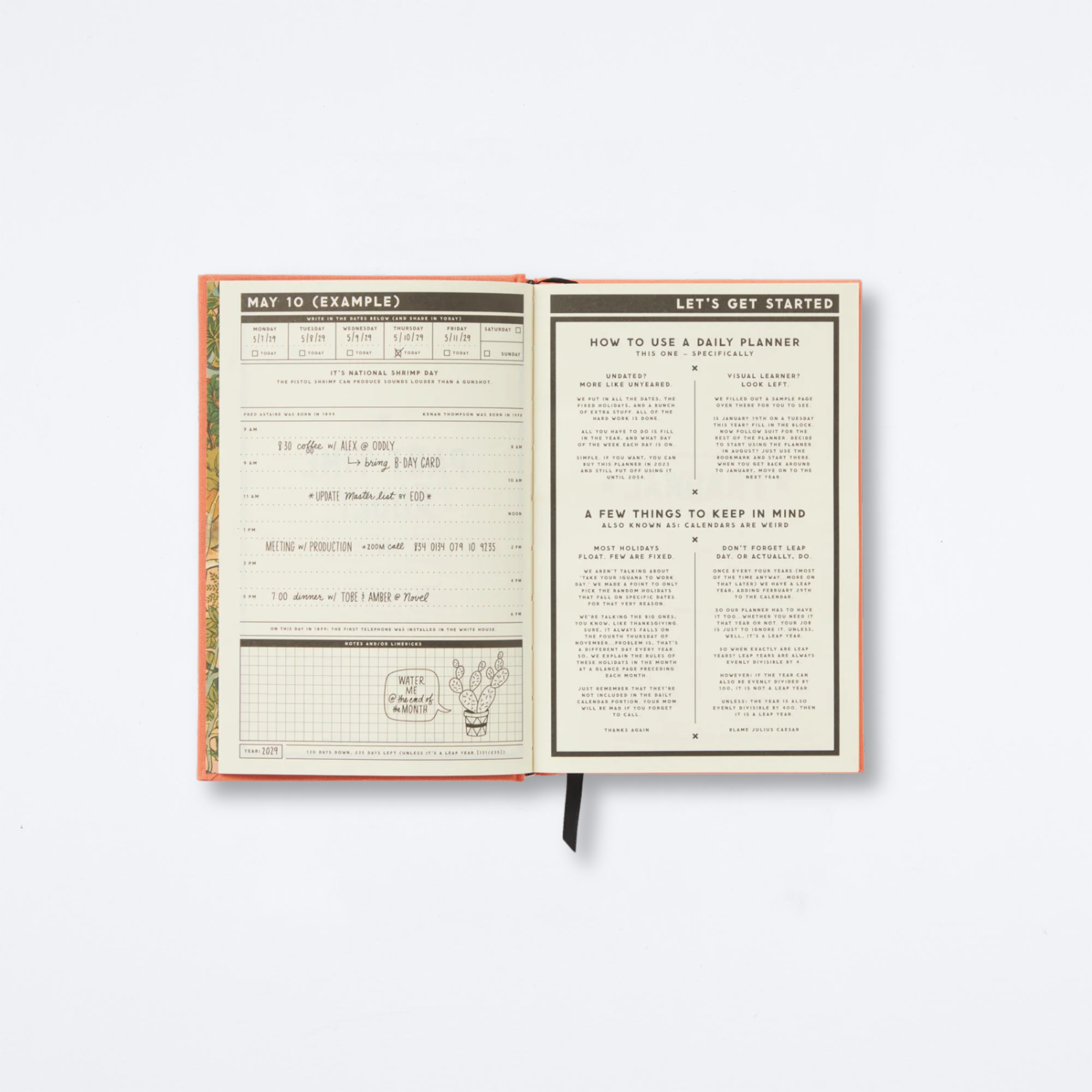 Part-time Adult Undated Daily Planner