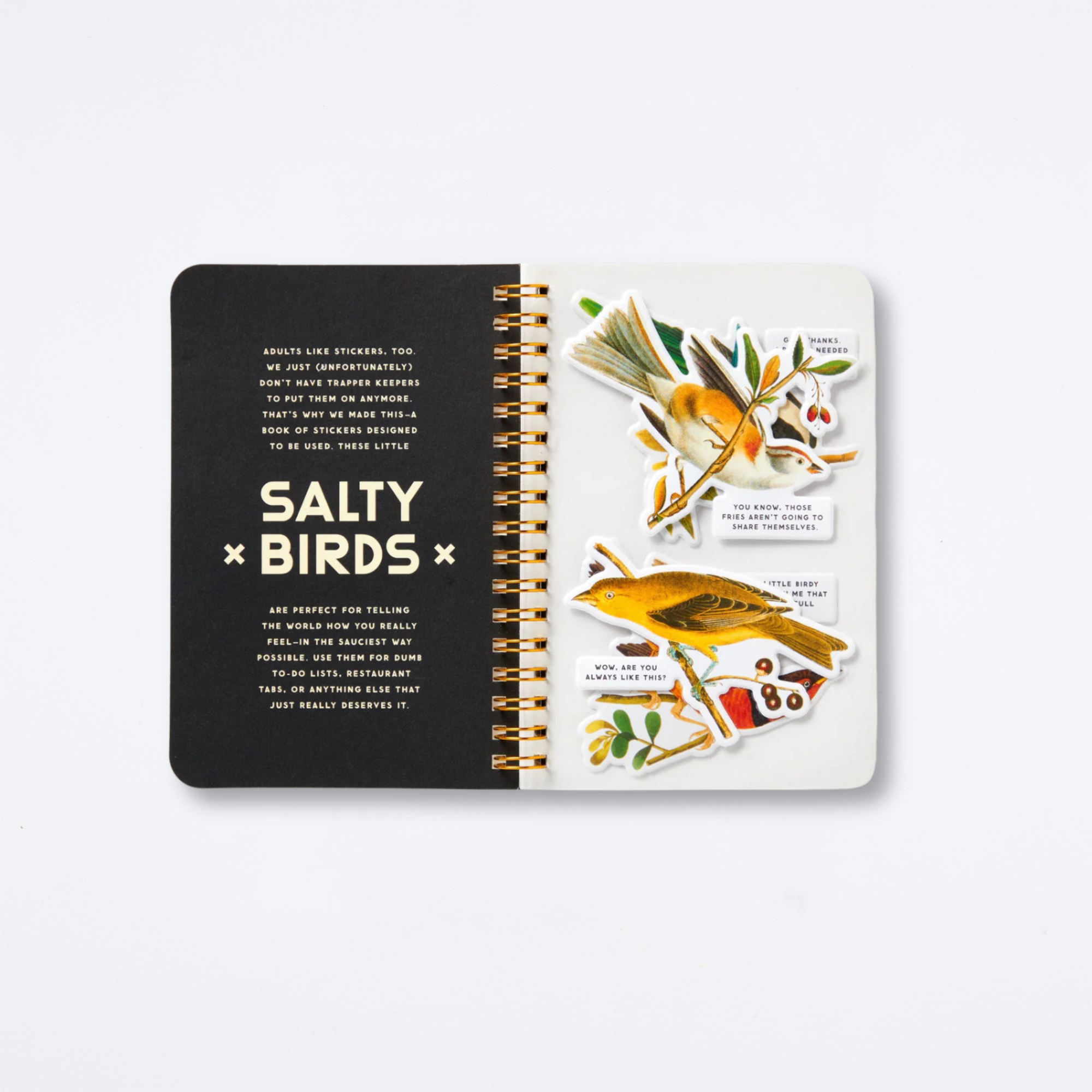 Salty Birds Sticker Book