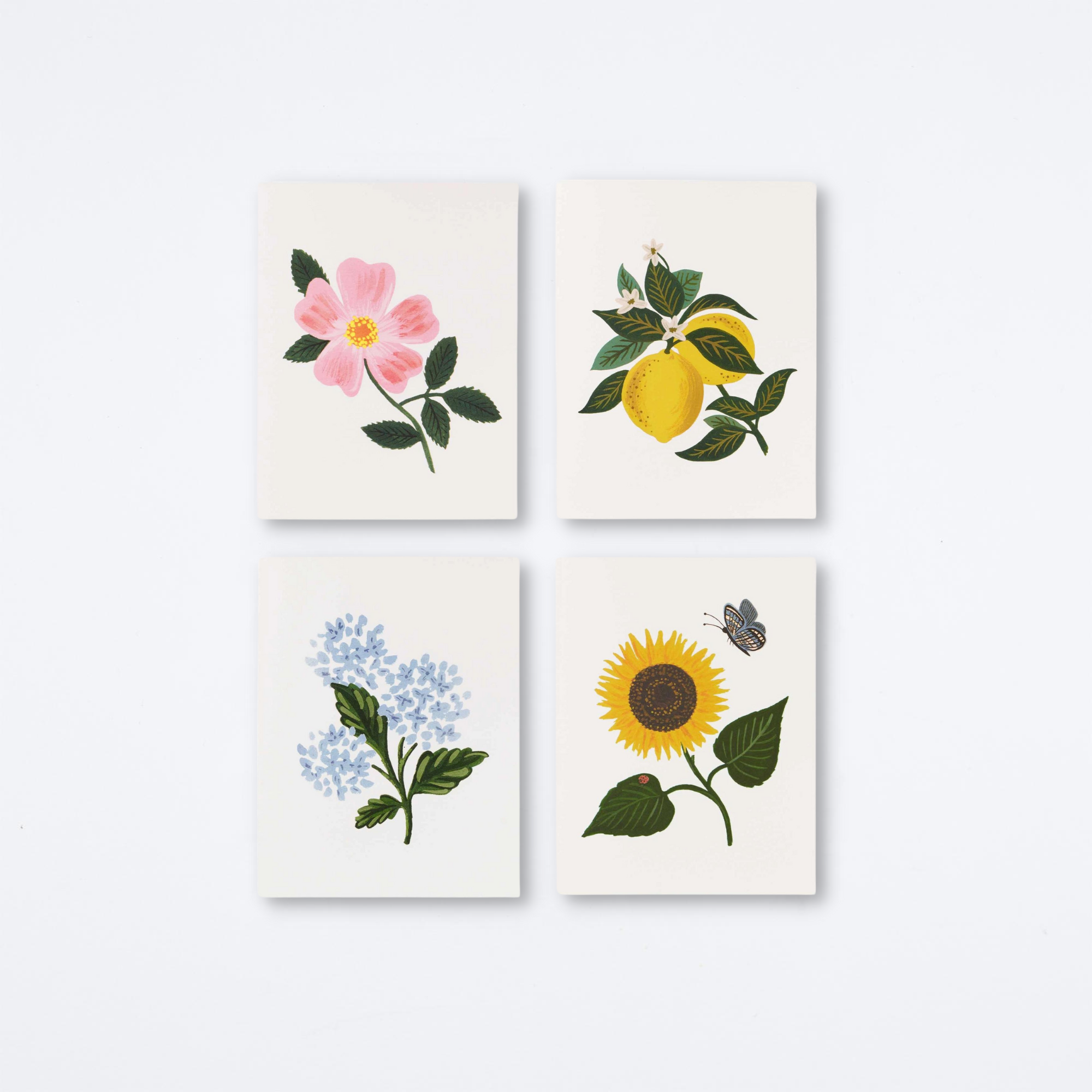 Assorted Botanical Blossom Card Set