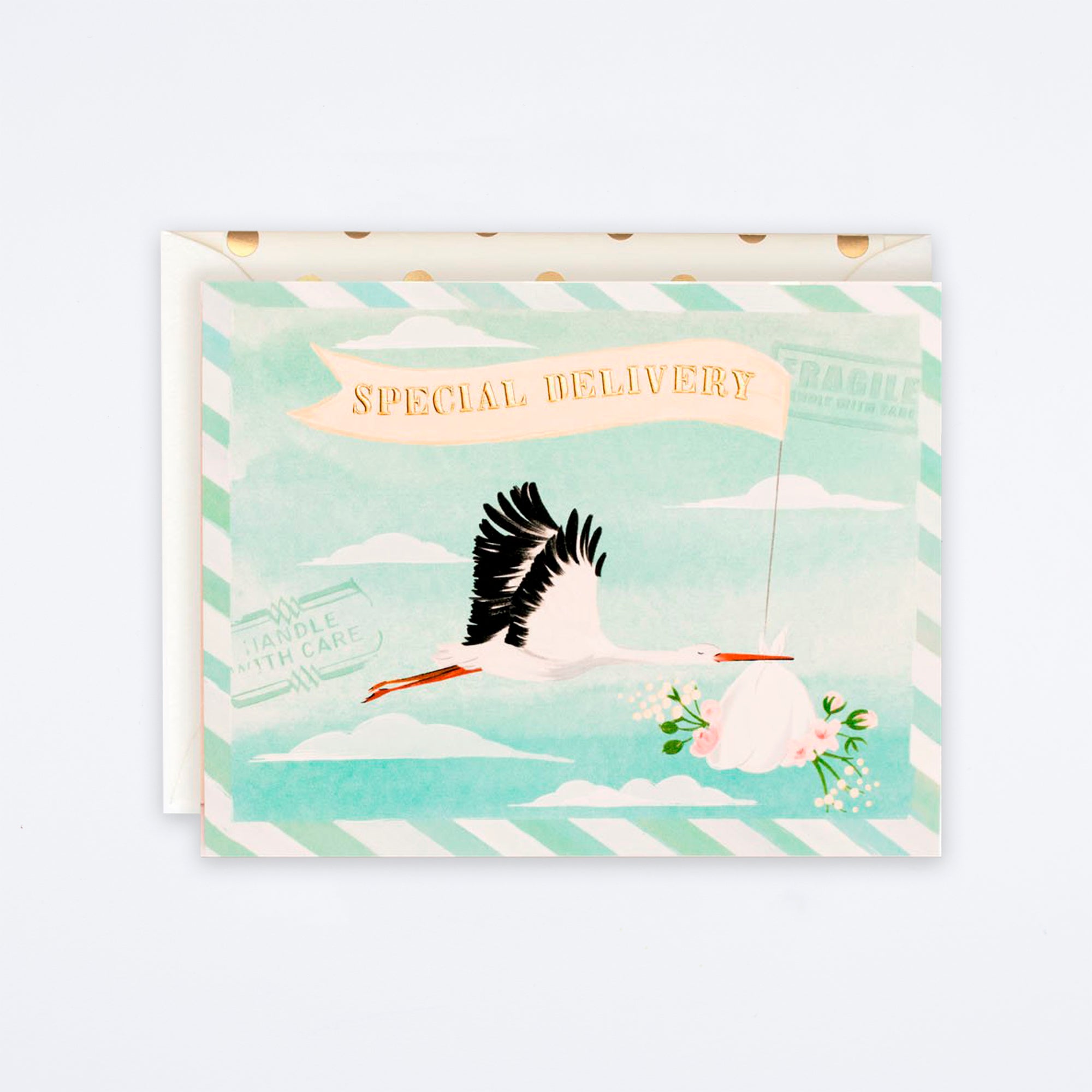 Special Delivery Baby Stork Card