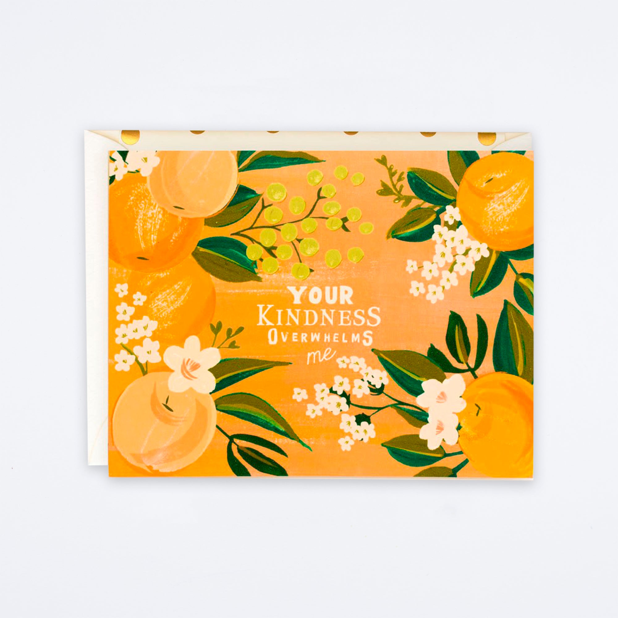 Your Kindness Overwhelms Me Card