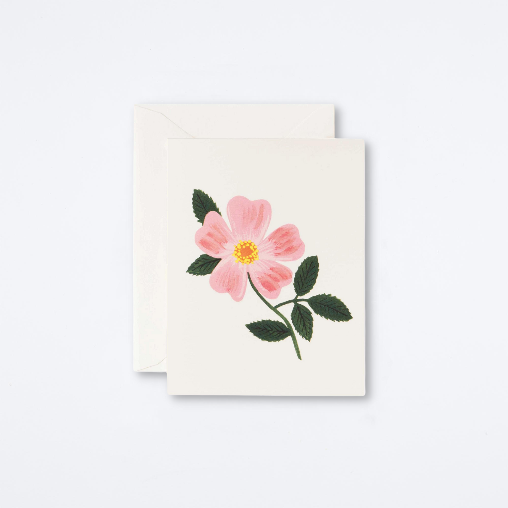 Wild Prairie Rose Card