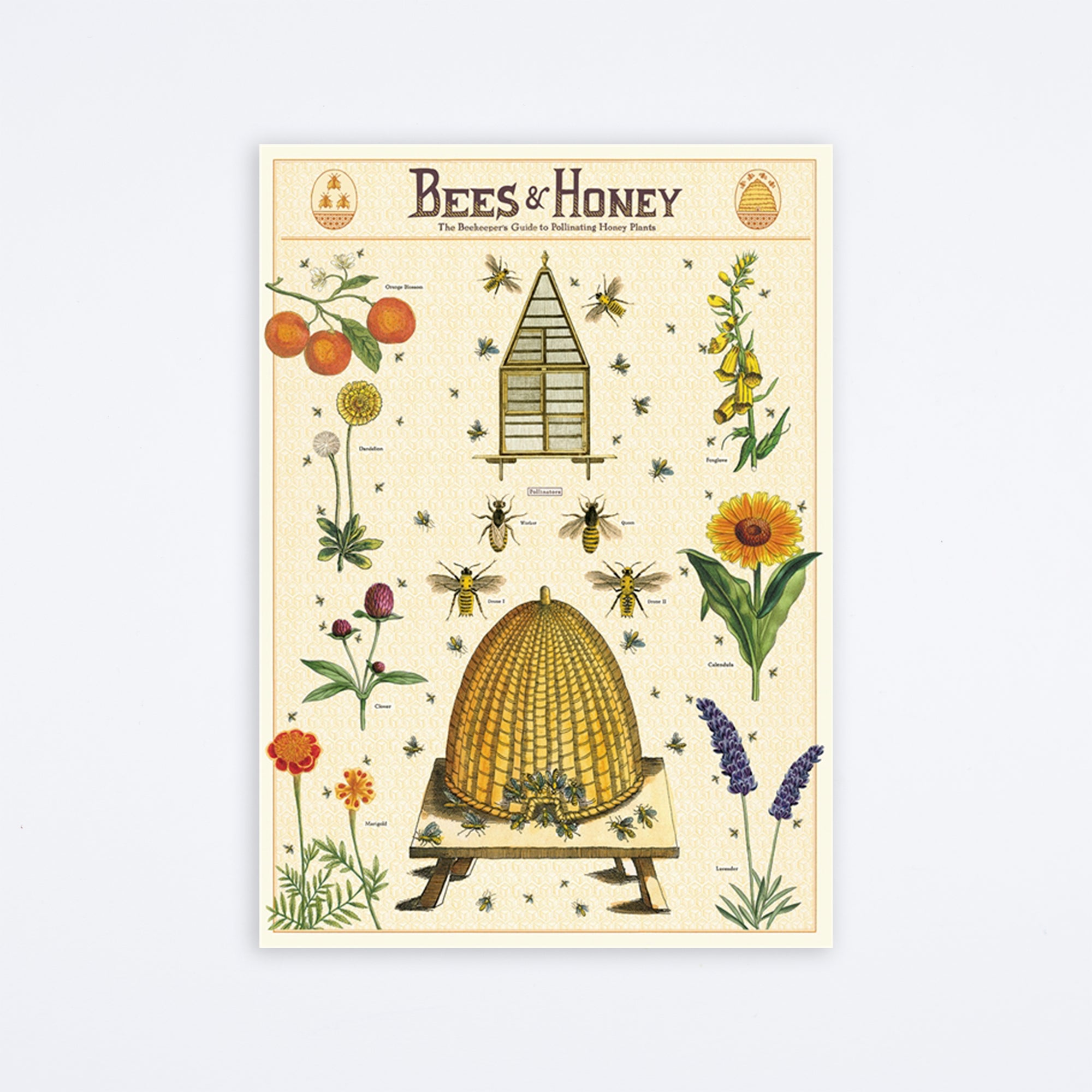 Bees & Honey 2 Wrap