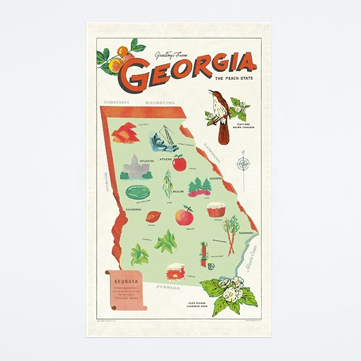Georgia Map Tea Towel — Archer Paper Goods