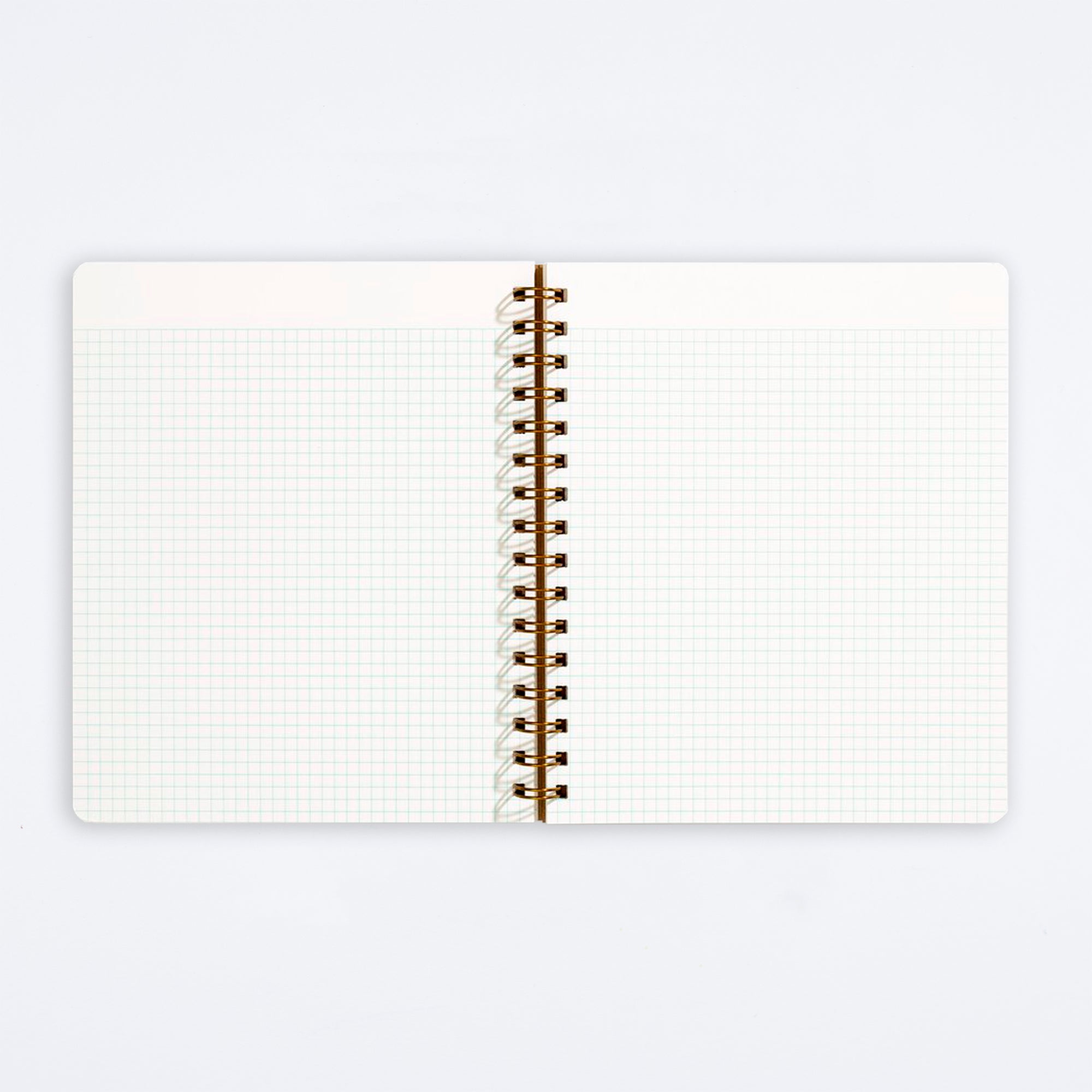 Pink Lemonade Standard Notebook